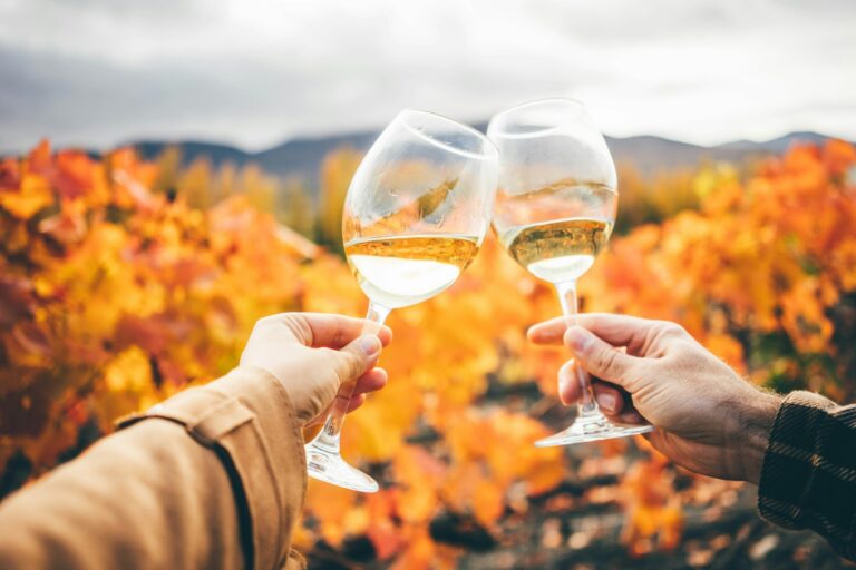 vineyards